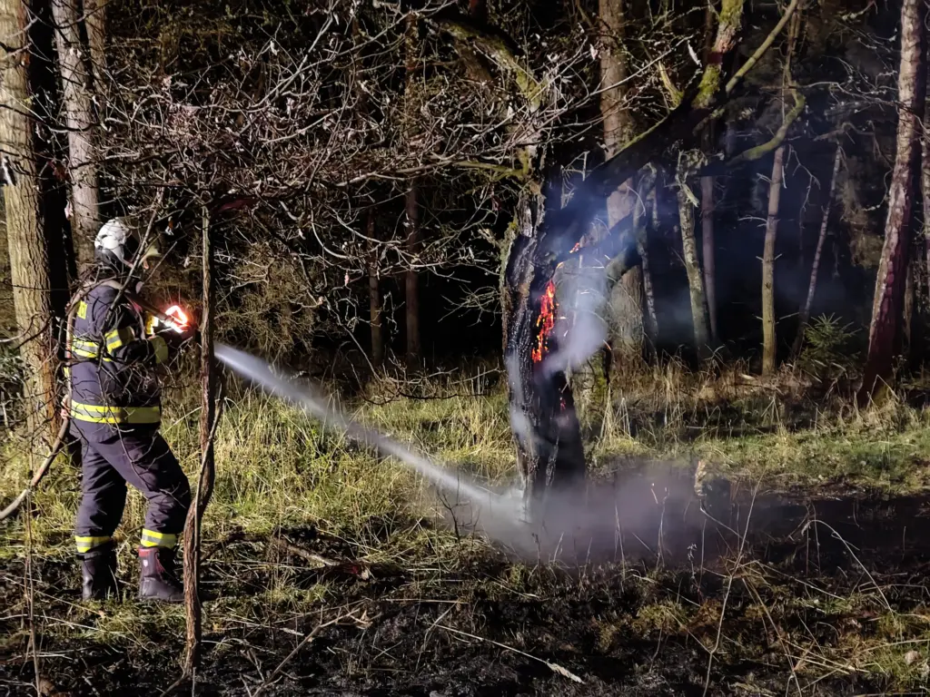 Požár v Třešňovce
